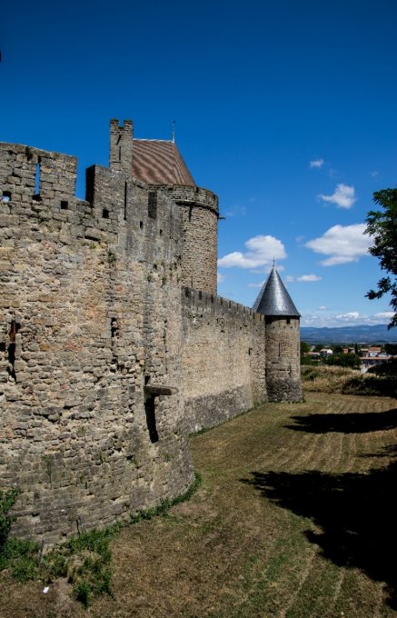 murailles de Carcassonne en 45*30 cm
