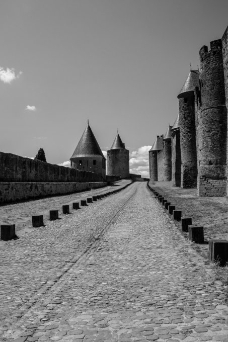 Carcassonne en 60*40 cm