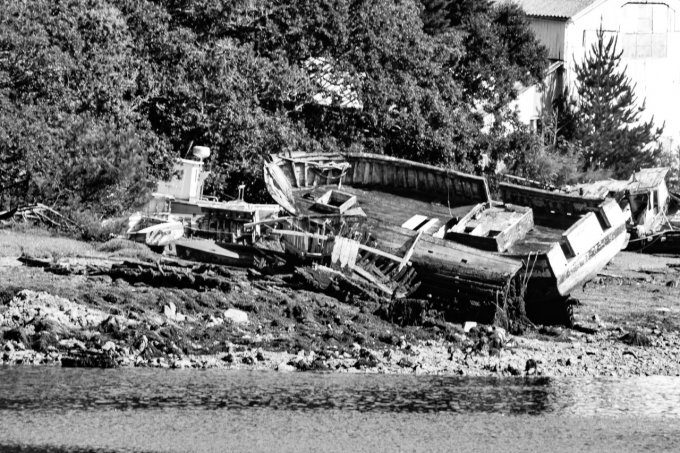 EPAVES A AUDIERNE EN 45*30CM