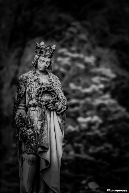 SEULE AU FOND DU JARDIN ..EN 75*50 CM