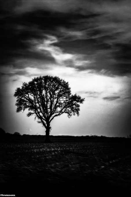 alone in the dark en 75*50 cm